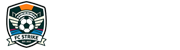 蜘蛛直播